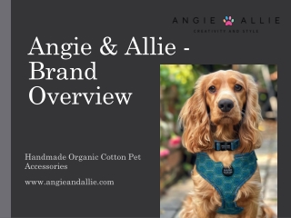 Angie_and_Allie_Brand_Presentation
