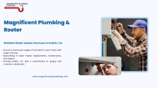 Expert Water Heater Services in Dublin