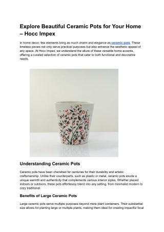 Explore Beautiful Ceramic Pots for Your Home – Hocc Impex