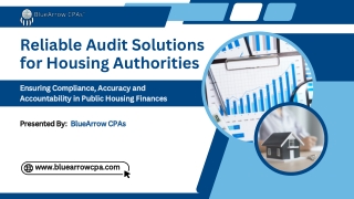 Expert Housing Authority Audit Services at BlueArrow CPAs