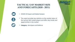 Tactical UAV Market
