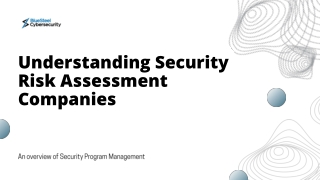 Comprehensive Security Risk Assessment & Program Management Solutions