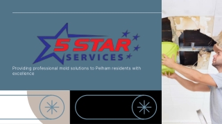 5 Star Mold Services – Complete Mold Remediation in Pelham, AL