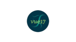 Vue 17