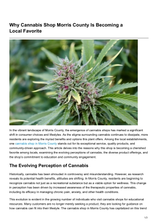 Why Cannabis Shop Morris County Is Becoming a Local Favorite