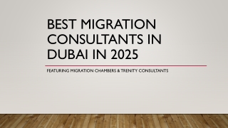 Best Migration Services in Dubai: 2025