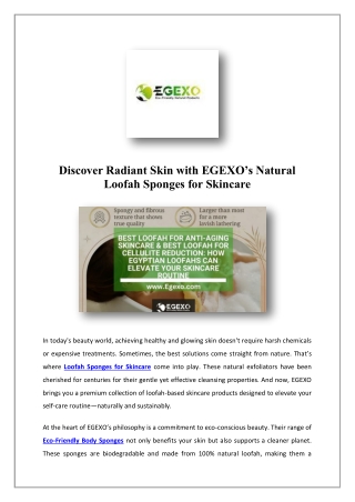 Shower Sponge | EGEXO