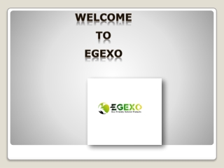 Egyptian Loofah Wholesale | EGEXO