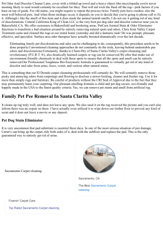 Pet Dog Smell And Discolor Eliminator