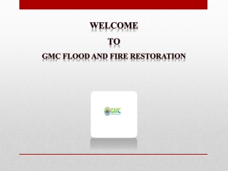 Mould Removal In Sydney | GMC Flood and Fire Restoration