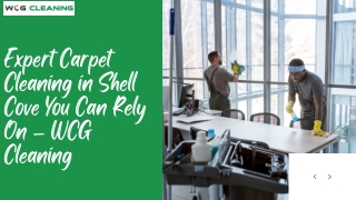 Expert Carpet Cleaning in Shell Cove You Can Rely On – WCG Cleaning