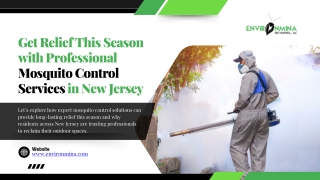 Get Relief This Season with Professional Mosquito Control Services in New Jersey