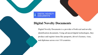Digital Novelty