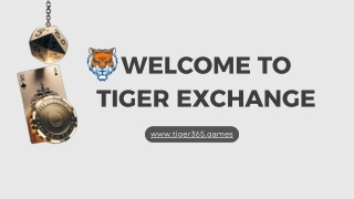 Tiger365: The New Benchmark in Online Betting Platforms