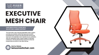 executive mesh chair