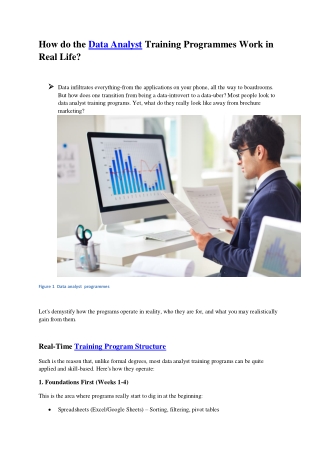 Data analyst training Programme