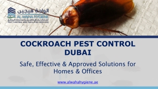 Cockroach Pest Control Dubai