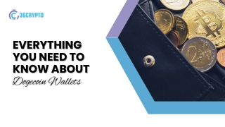 Dogecoin Wallets Explained: Safely Store Your DOGE Today