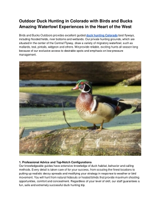 Outdoor Duck Hunting in Colorado with Birds and Bucks Amazing Waterfowl Experiences in the Heart of the West