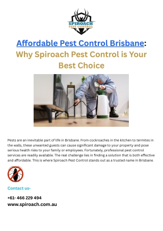 Affordable Pest Control in Brisbane Why Spiroach Pest Control is Your Best Choice (1)