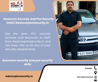 Bouncers Security And Pso Security Delhi  Redscorpionsecurity.in