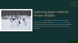 Capturing-Japans-Majestic-Winter-Wildlife