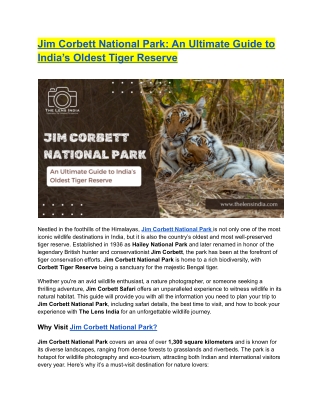 Jim Corbett National Park: An Ultimate Guide to India’s Oldest Tiger Reserve