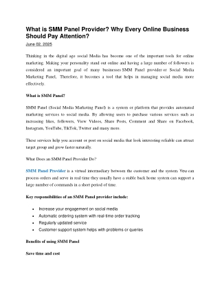 What is SMM Panel Provider Why Every Online Business Should Pay Attention