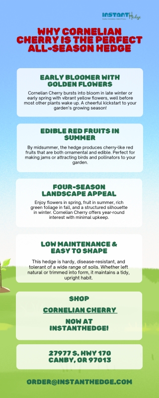 Cornelian Cherry Dogwood: All-Season Appeal