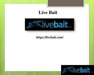 Best Cast Net, livebait