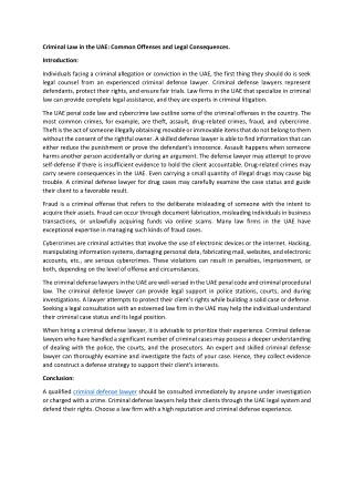 Criminal Law in the UAE: Common Offenses and Legal Consequences