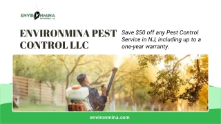 How To Get Rid Of Asian Tiger Mosquitoes Tips NJ Residents Need To Know