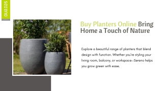 Smart & Simple Ways to Buy Planters Online