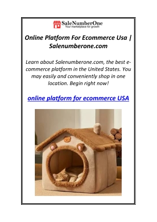 Online Platform For Ecommerce Usa | Salenumberone.com