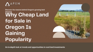 Why Cheap Land for Sale in Oregon Is Gaining Popularity