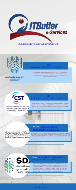 itbutler e-services provider