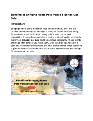 Benefits of Bringing Home Pets from a Siberian Cat Sale