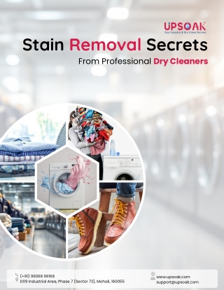 Stain Removal Secrets from Professional Dry Cleaners