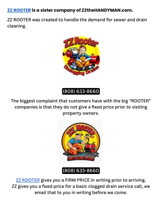 ZZ ROOTER is a sister company of ZZtheHANDYMAN.com. (1)