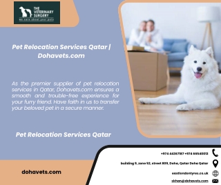 Pet Relocation Services Qatar  Dohavets.com