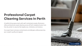 Professional Carpet Cleaning Services in Perth