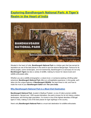 Exploring Bandhavgarh National Park A Tigers Realm in the Heart of India