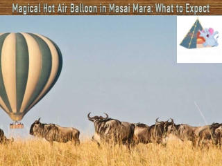 Magical Hot Air Balloon in Masai Mara What to Expect