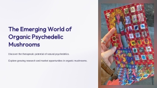 Organic psychedelic mushrooms