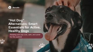 “Hot Dog” Alternatives Smart Essentials for Active, Healthy Dogs