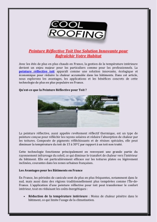 Peinture Réflective Toit Une Solution Innovante pour Rafraîchir Votre Habitat
