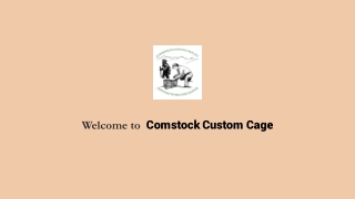 Best Badger Cage Traps