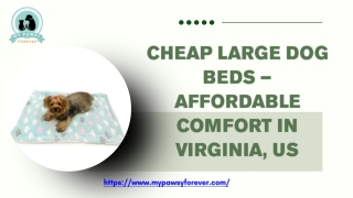 Cheap Large Dog Beds – Affordable Comfort in Virginia, US