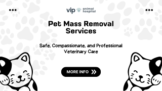 Safe & Compassionate Pet Mass Removal Services | VIP Animal Hospital