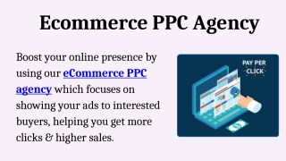 Ecommerce PPC Agency